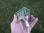 Lights_image018